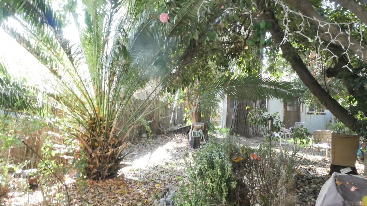 Photo of Outdoor in Midtown Sacramento