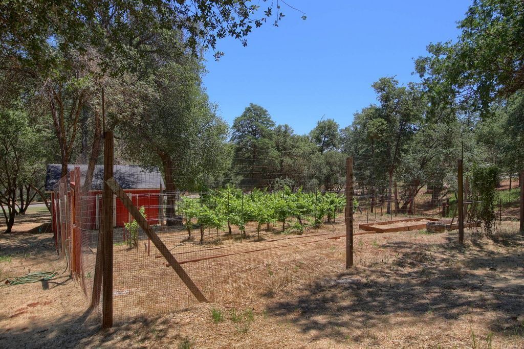 Photo of Others in Mariposa County