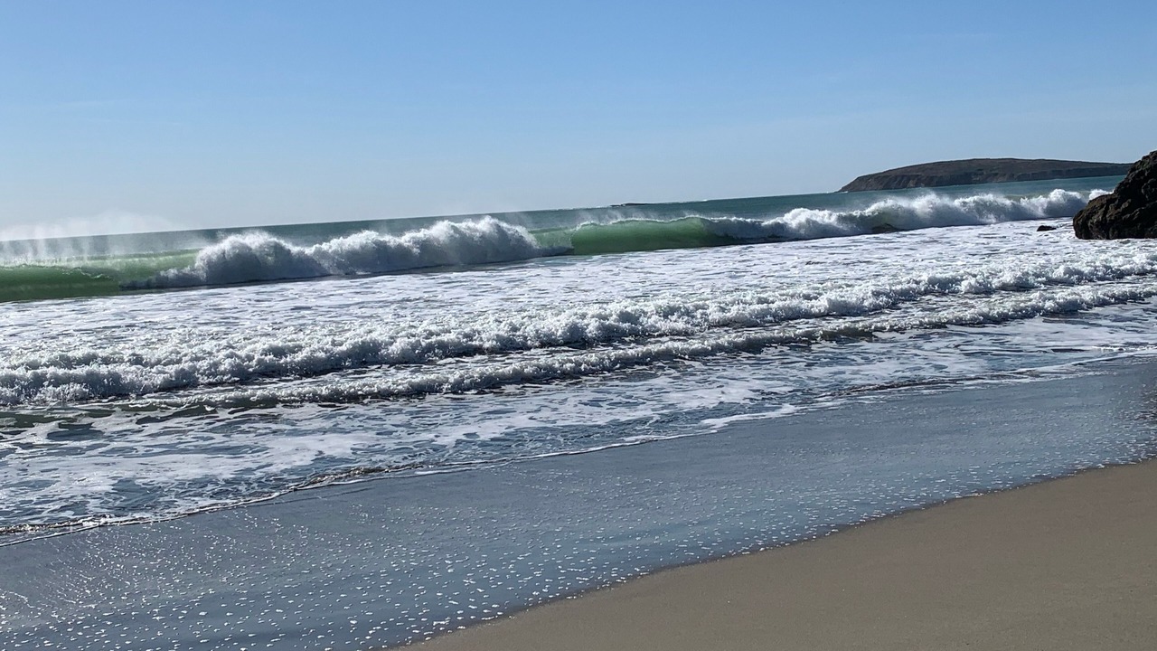Photo of Others in Bodega Bay