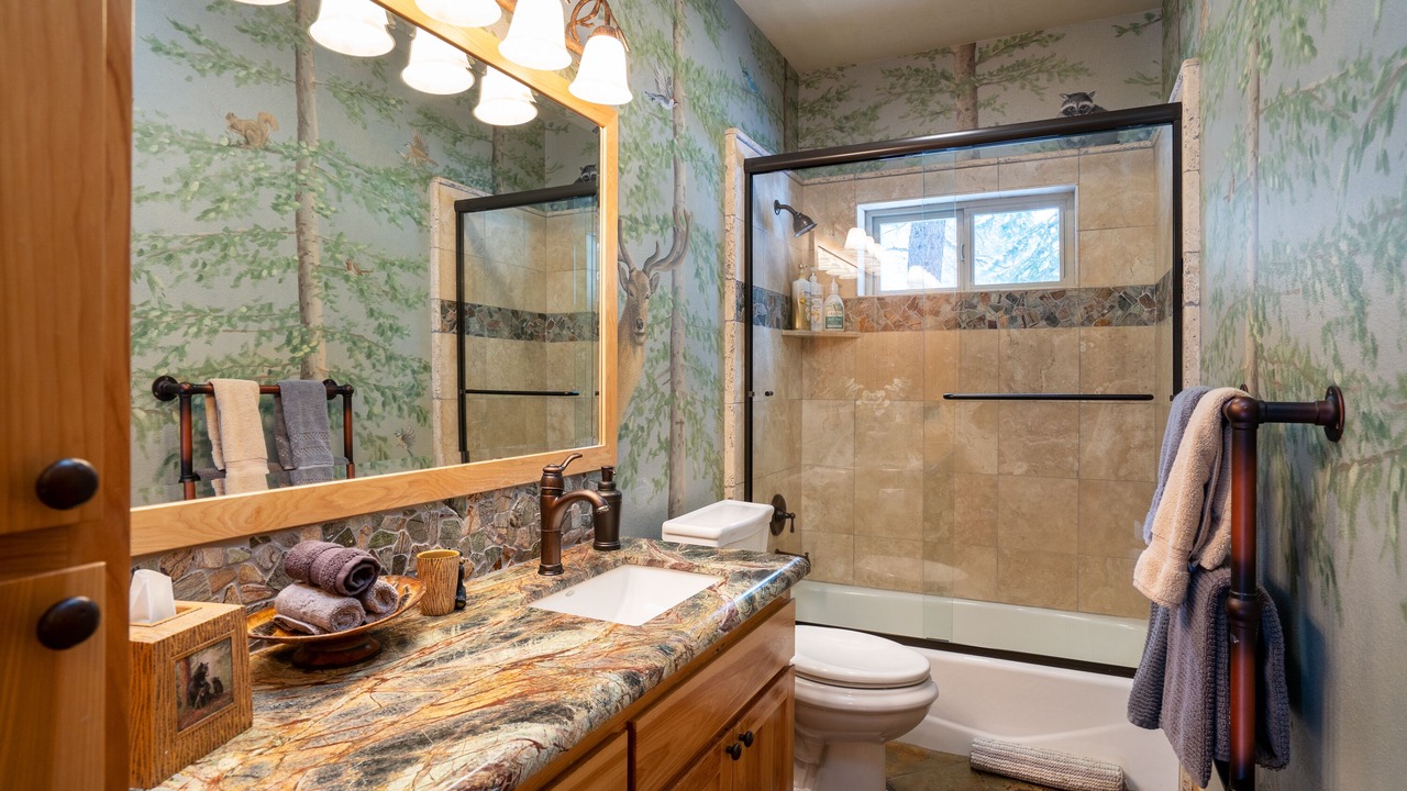 Photo of Bathroom in Truckee