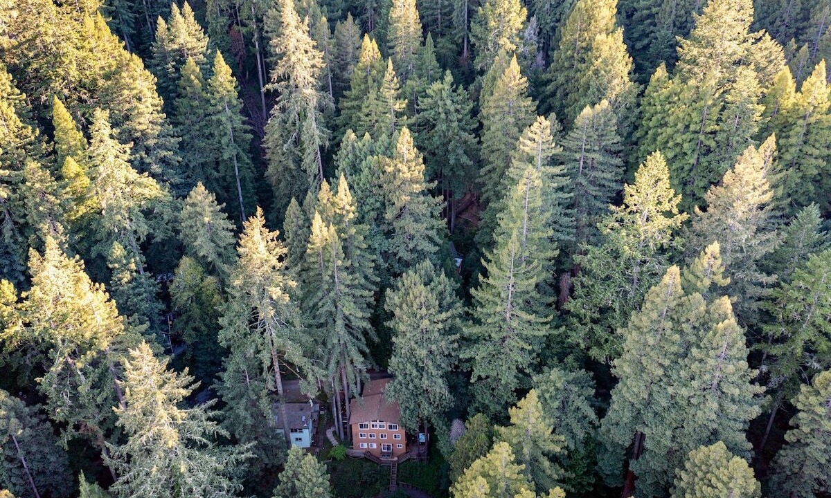 Photo of Others in Guerneville