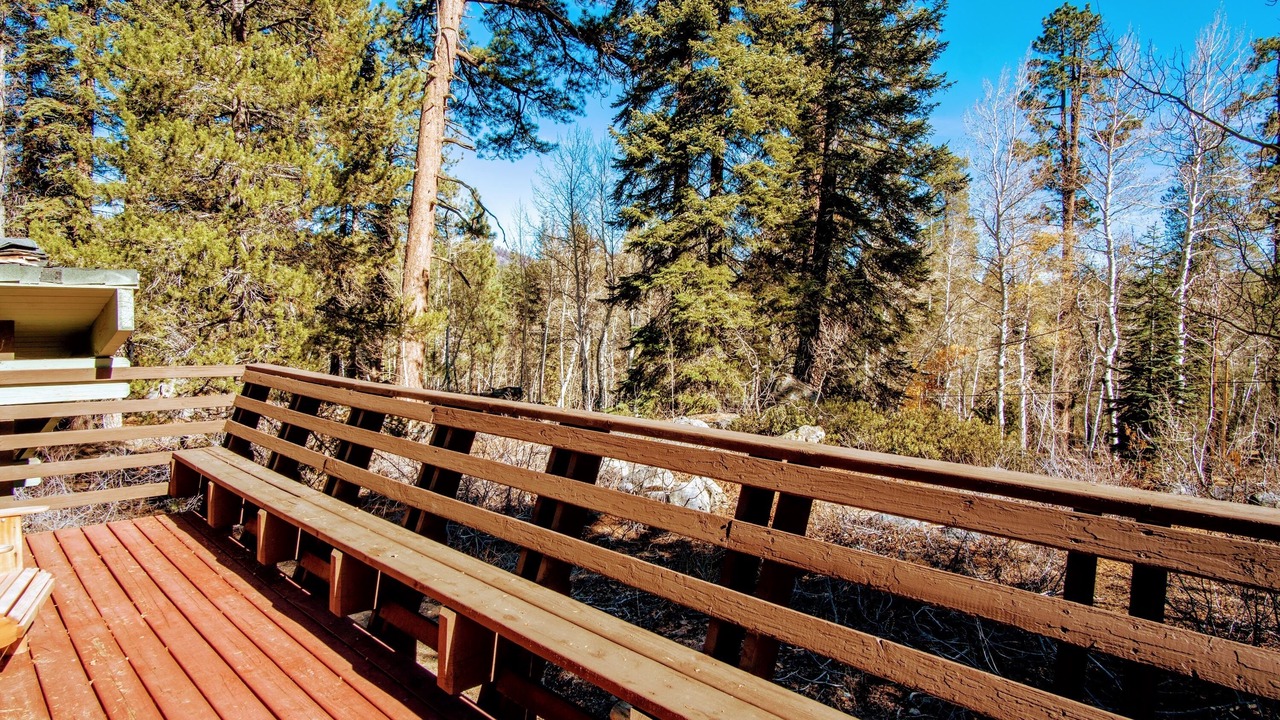 Photo of Others in Ponderosa