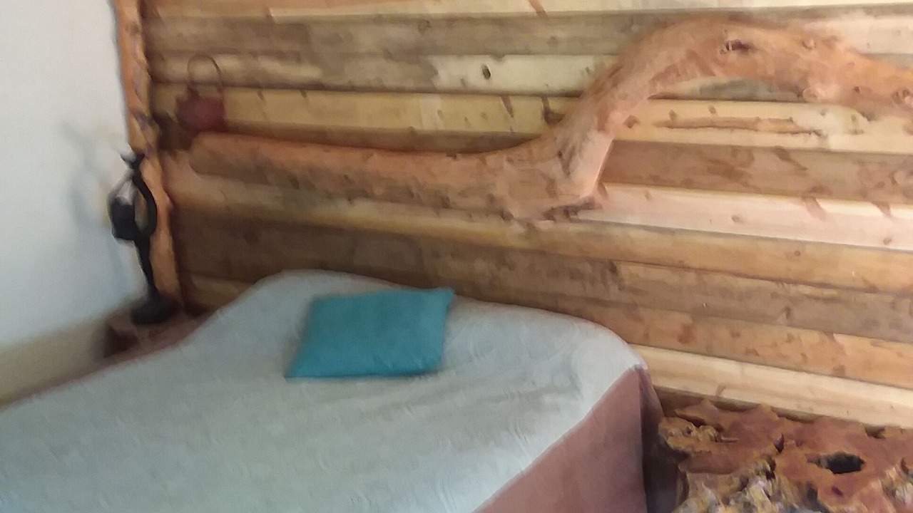 Photo of Bedroom in Nevada City