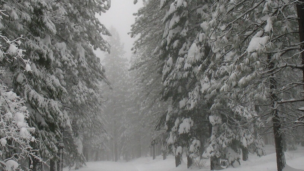 Photo of Others in Nevada City