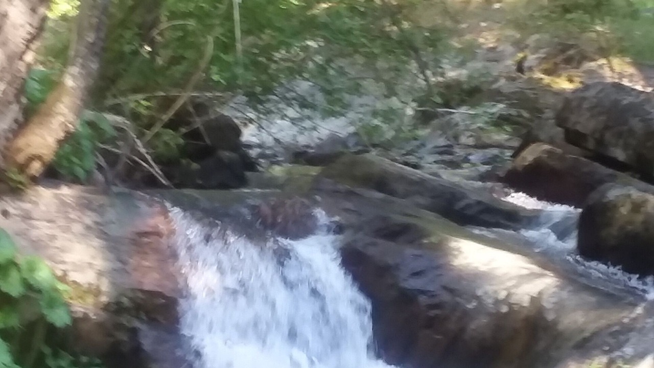 Photo of Outdoor in Nevada City