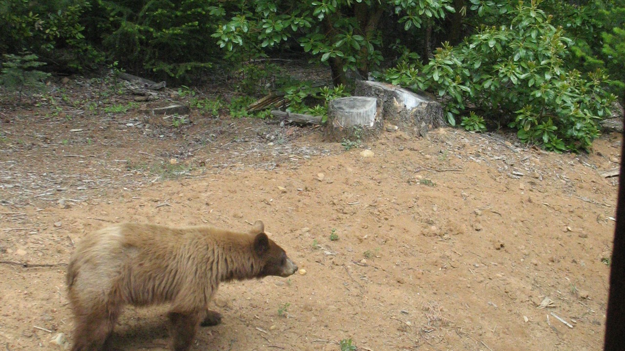 Photo of Outdoor in Nevada City