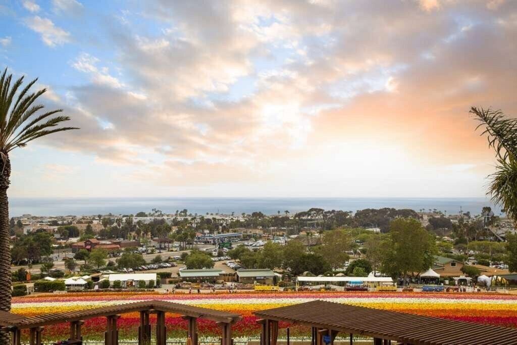 Photo of Others in Carlsbad