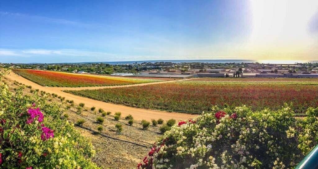 Photo of Others in Carlsbad