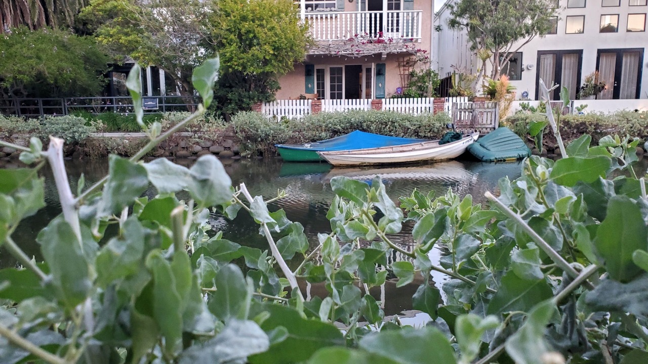 Photo of Outdoor in Venice Canals
