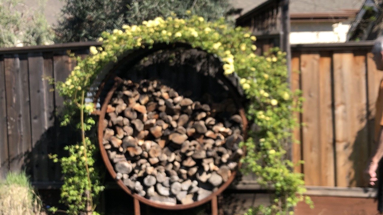 Photo of Outdoor in Santa Rosa