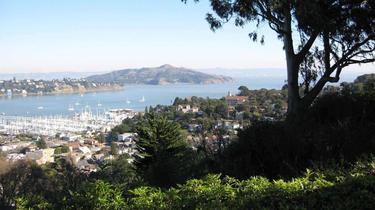 Photo of Others in Sausalito