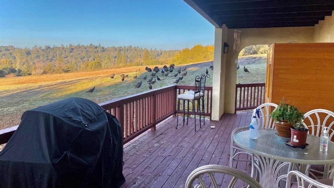 Photo of Outdoor in Mariposa
