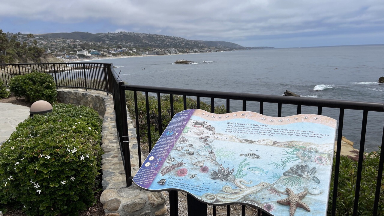 Photo of Outdoor in Laguna Beach