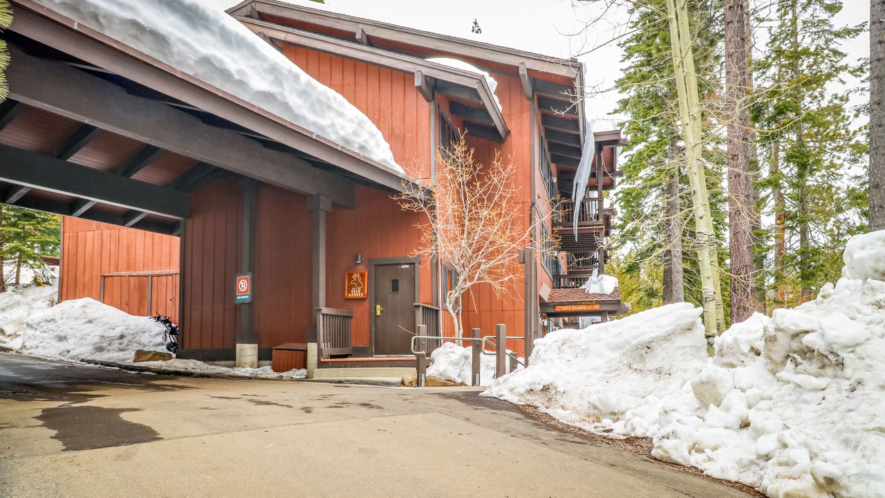 Photo of Outdoor in Tahoe Woods