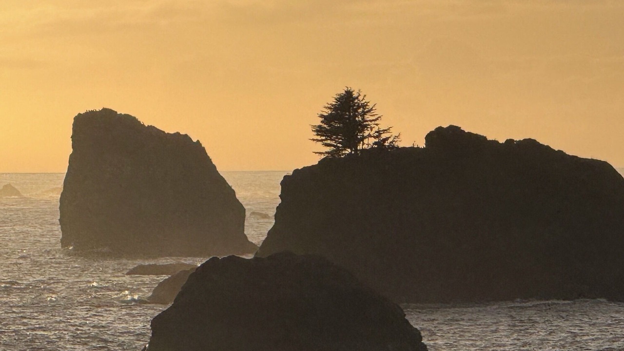 Photo of Others in Crescent City