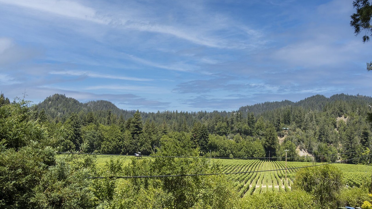 Photo of Outdoor in Guerneville