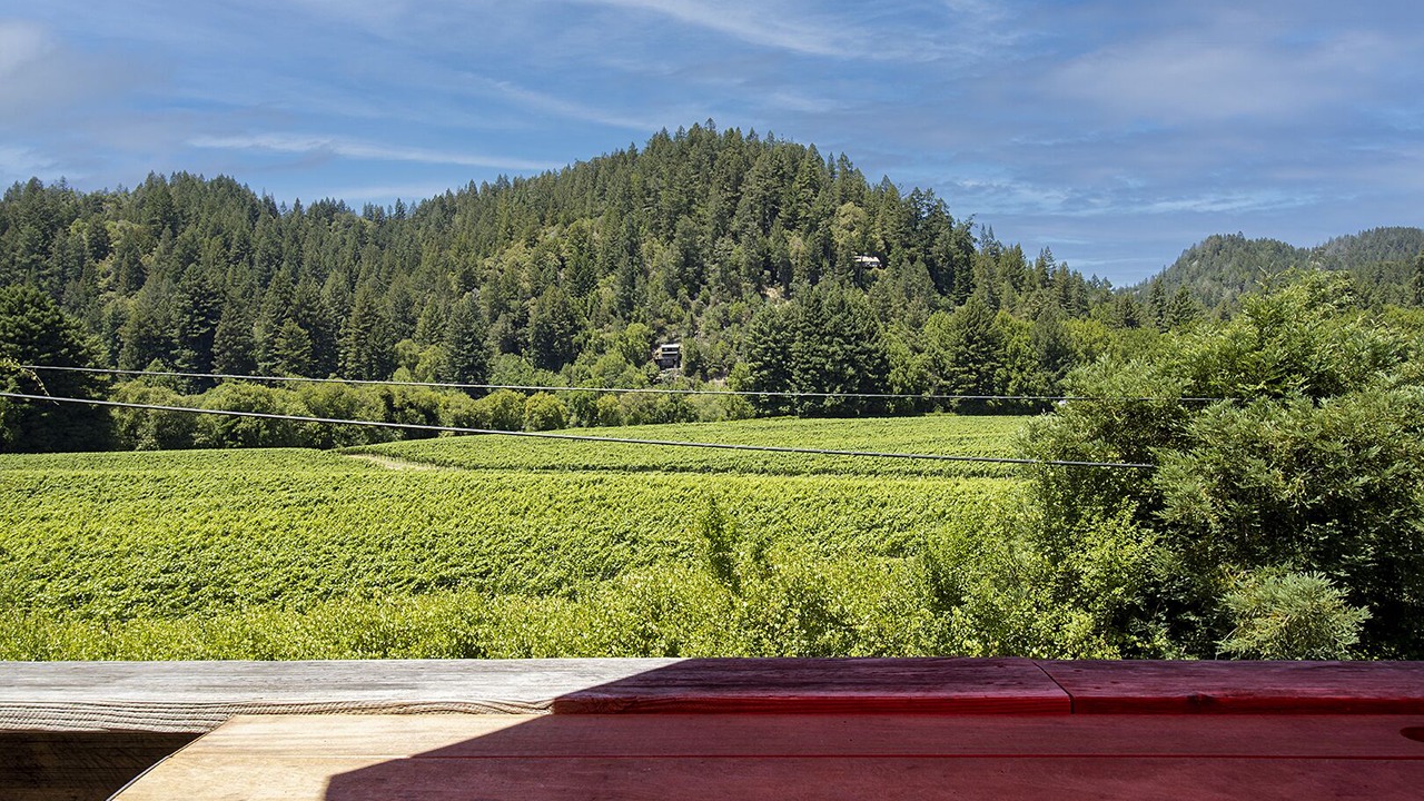 Photo of Others in Guerneville