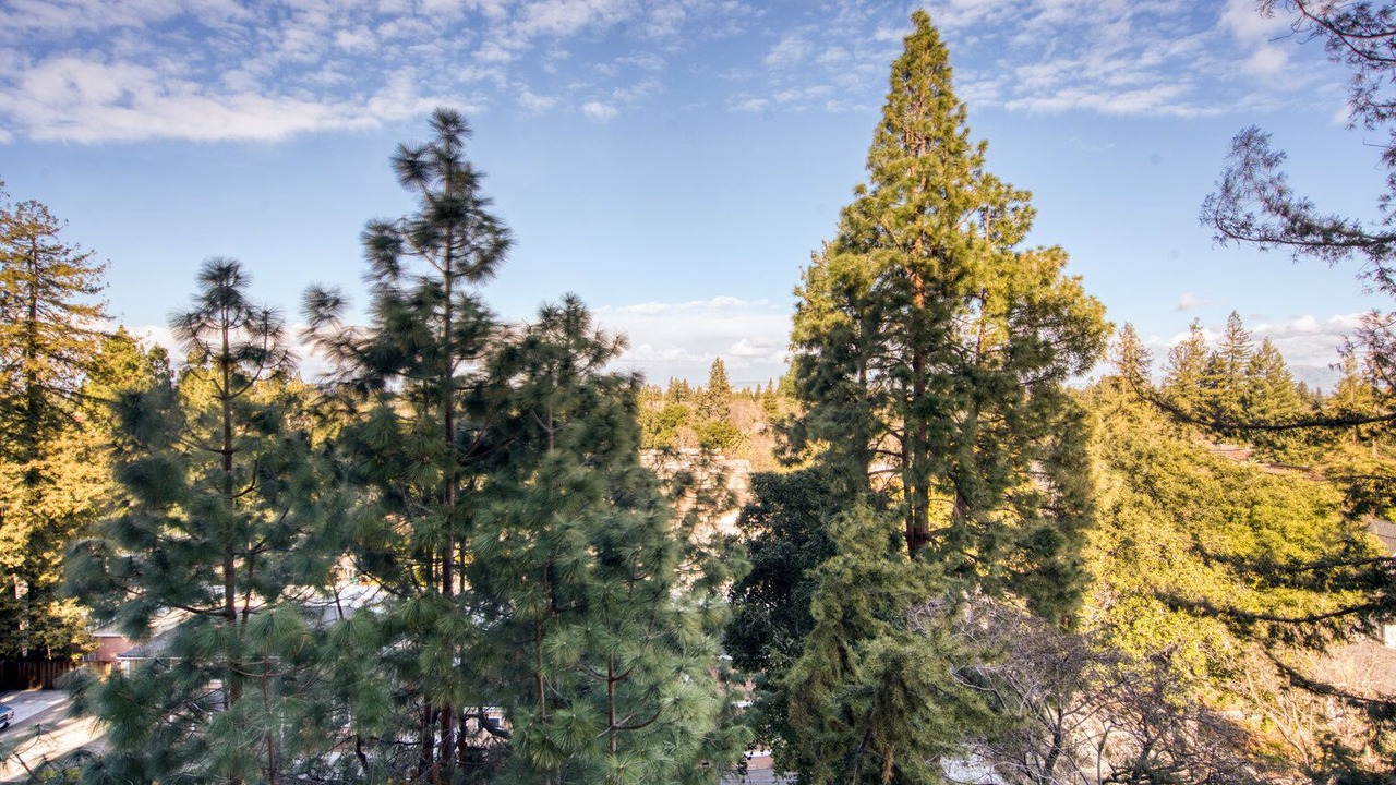 Photo of Outdoor in University South