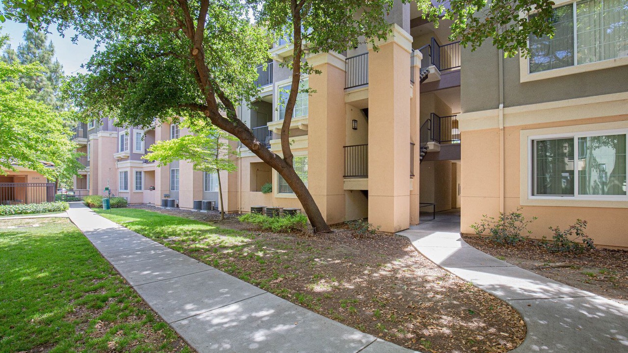 Photo of Outdoor in South San Jose