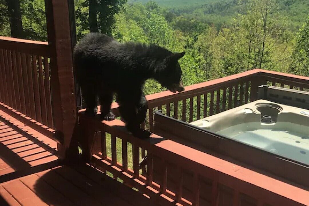 Photo of Outdoor in Gatlinburg