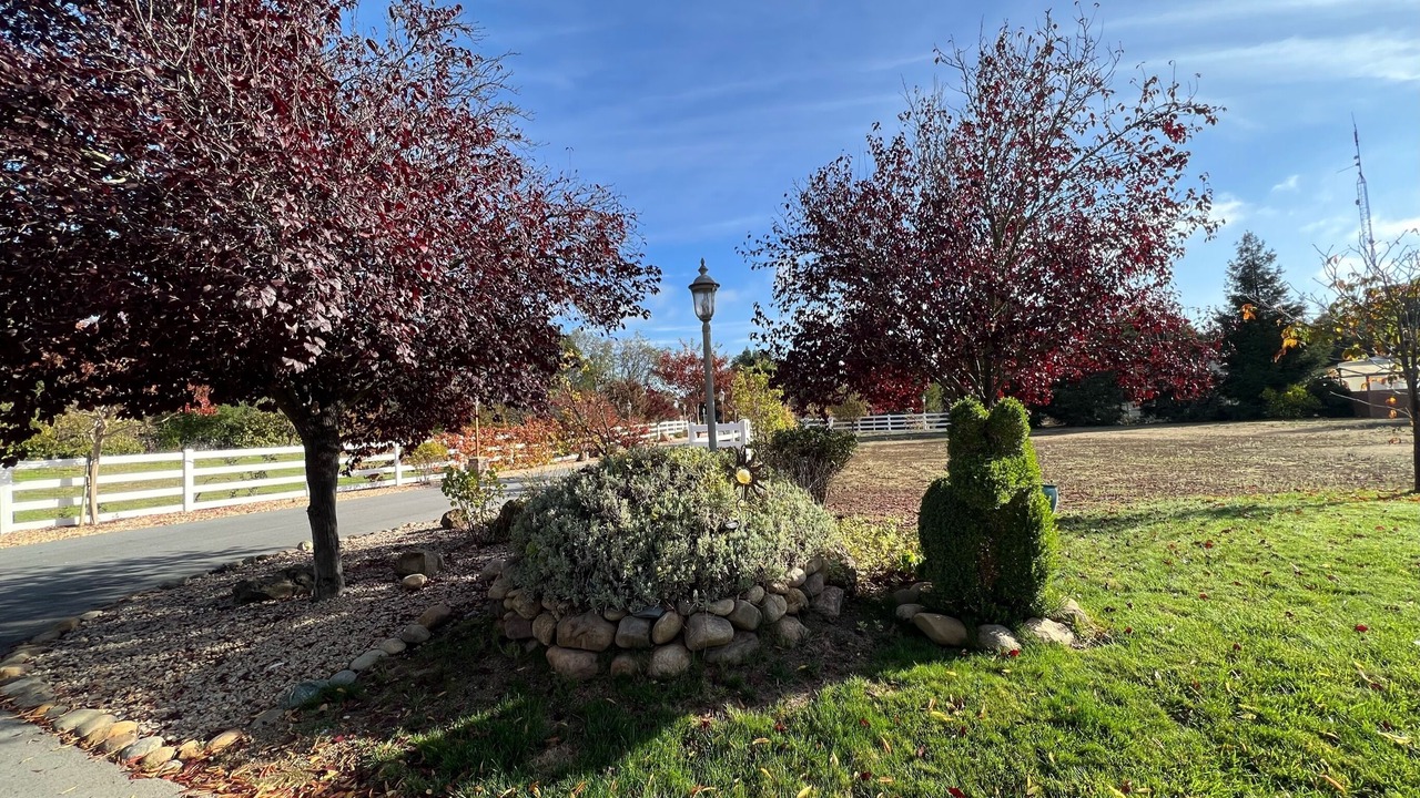 Photo of Outdoor in Gilroy