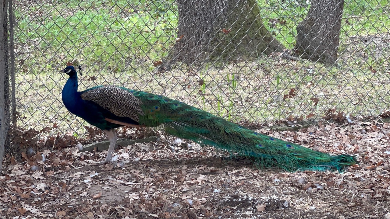 Photo of Outdoor in Gilroy