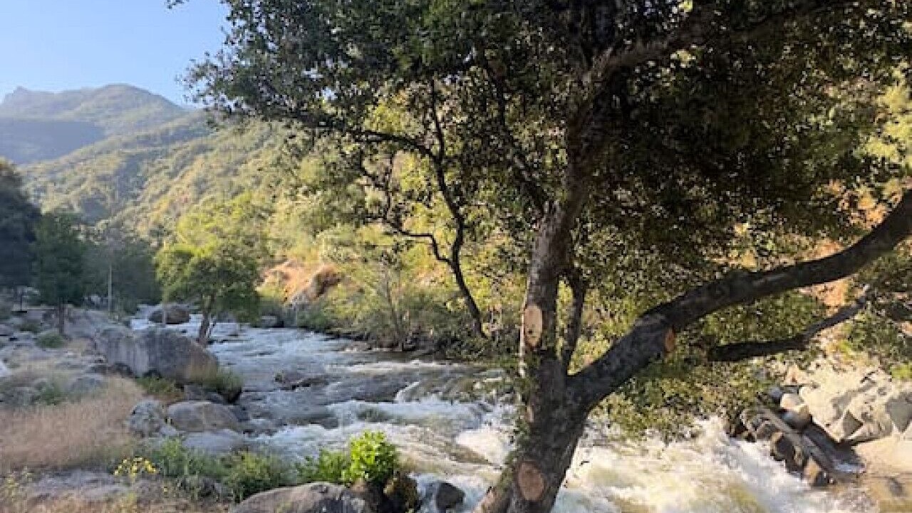 Photo of Others in Three Rivers