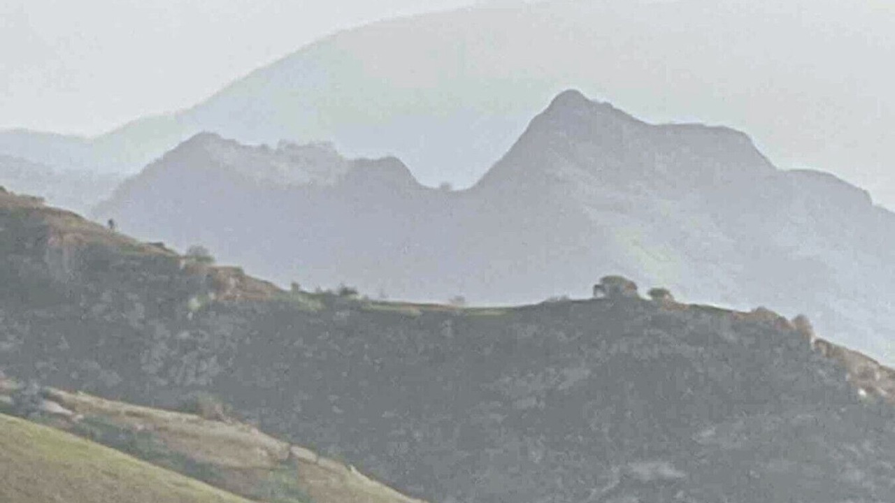 Photo of Others in Three Rivers