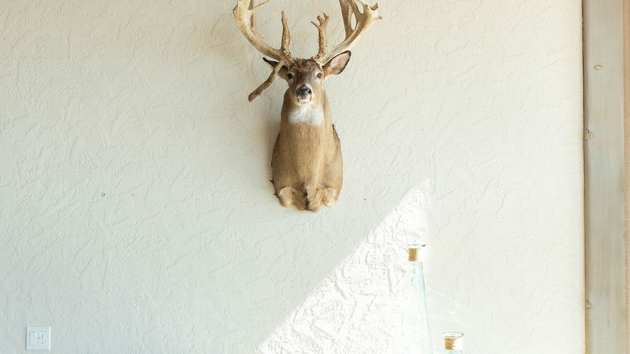 Photo of Others in Shasta Cascade