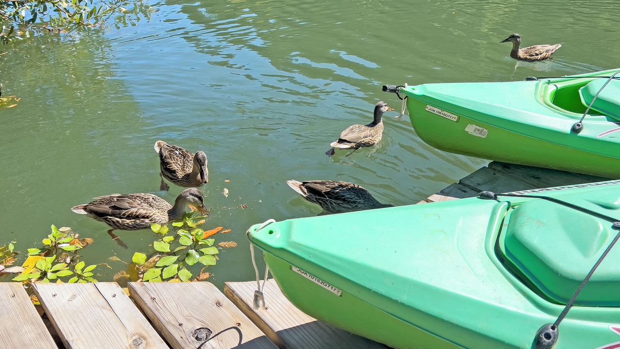 Photo of Others in Guerneville