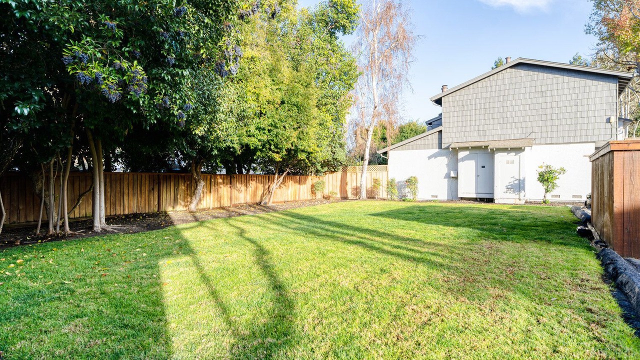 Photo of Outdoor in Mountain View