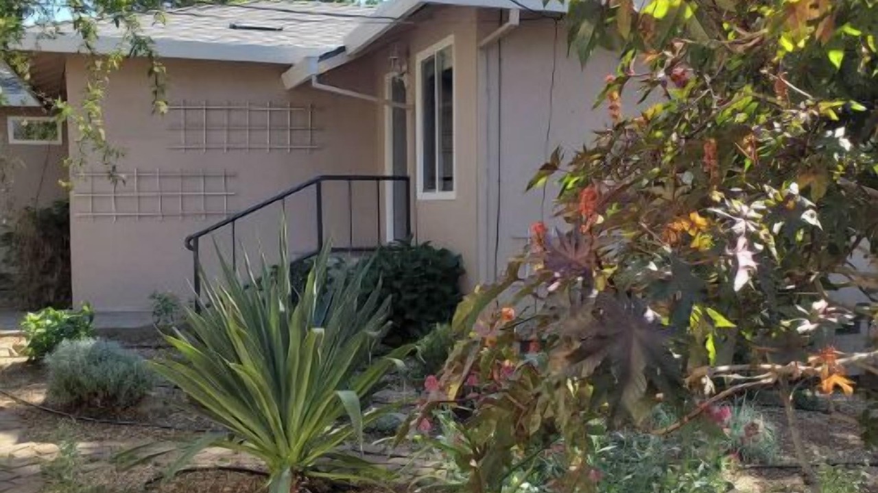 Photo of Outdoor in Deer Park