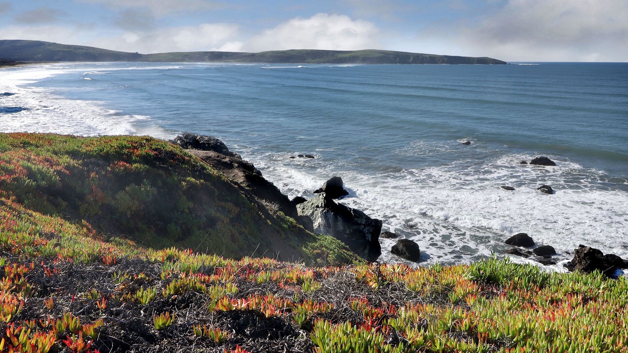 Photo of Others in Dillon Beach