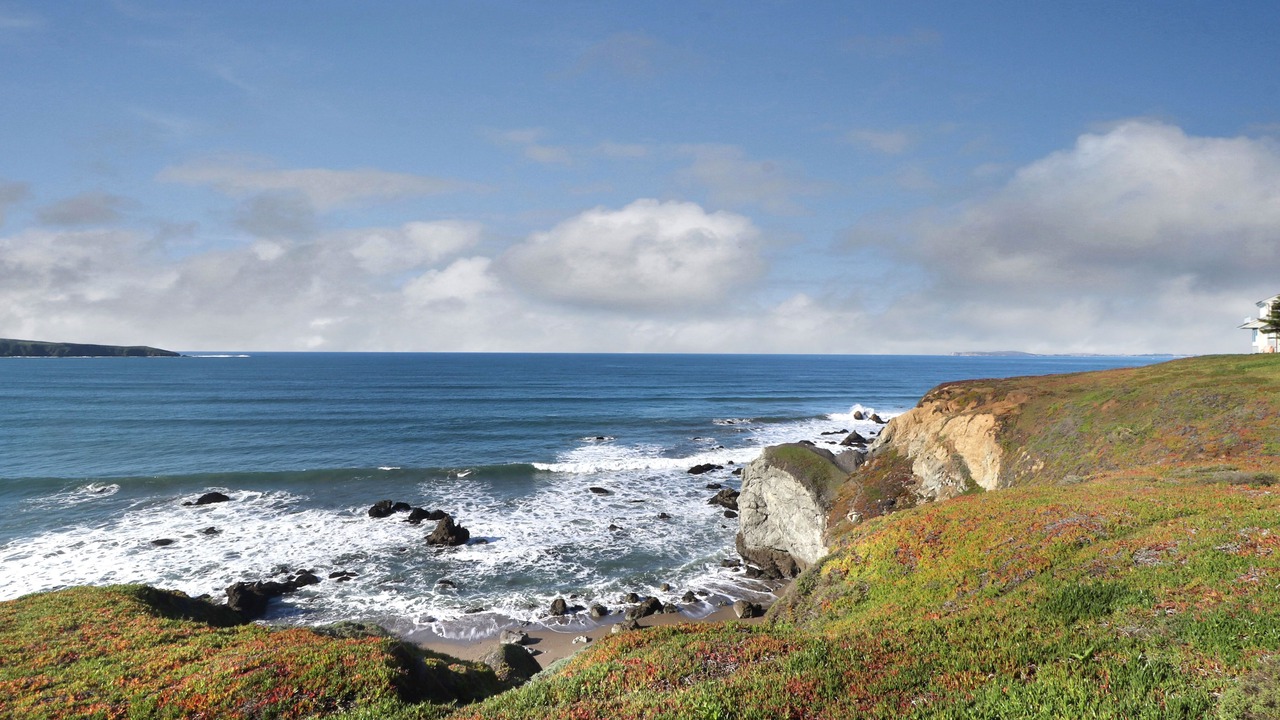 Photo of Others in Dillon Beach