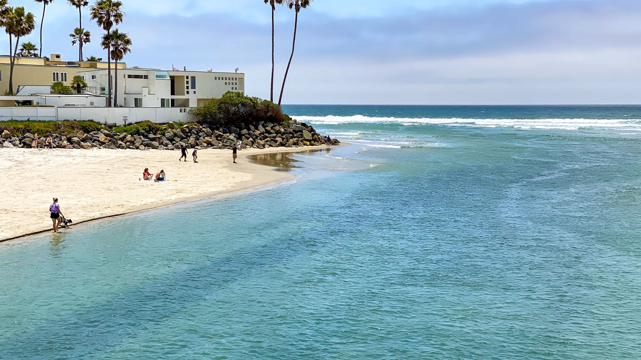 Photo of Others in Del Mar Heights
