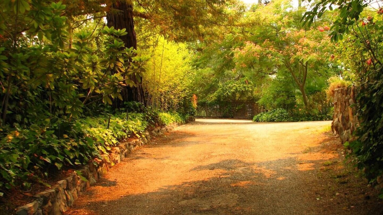 Photo of Outdoor in Monte Sereno