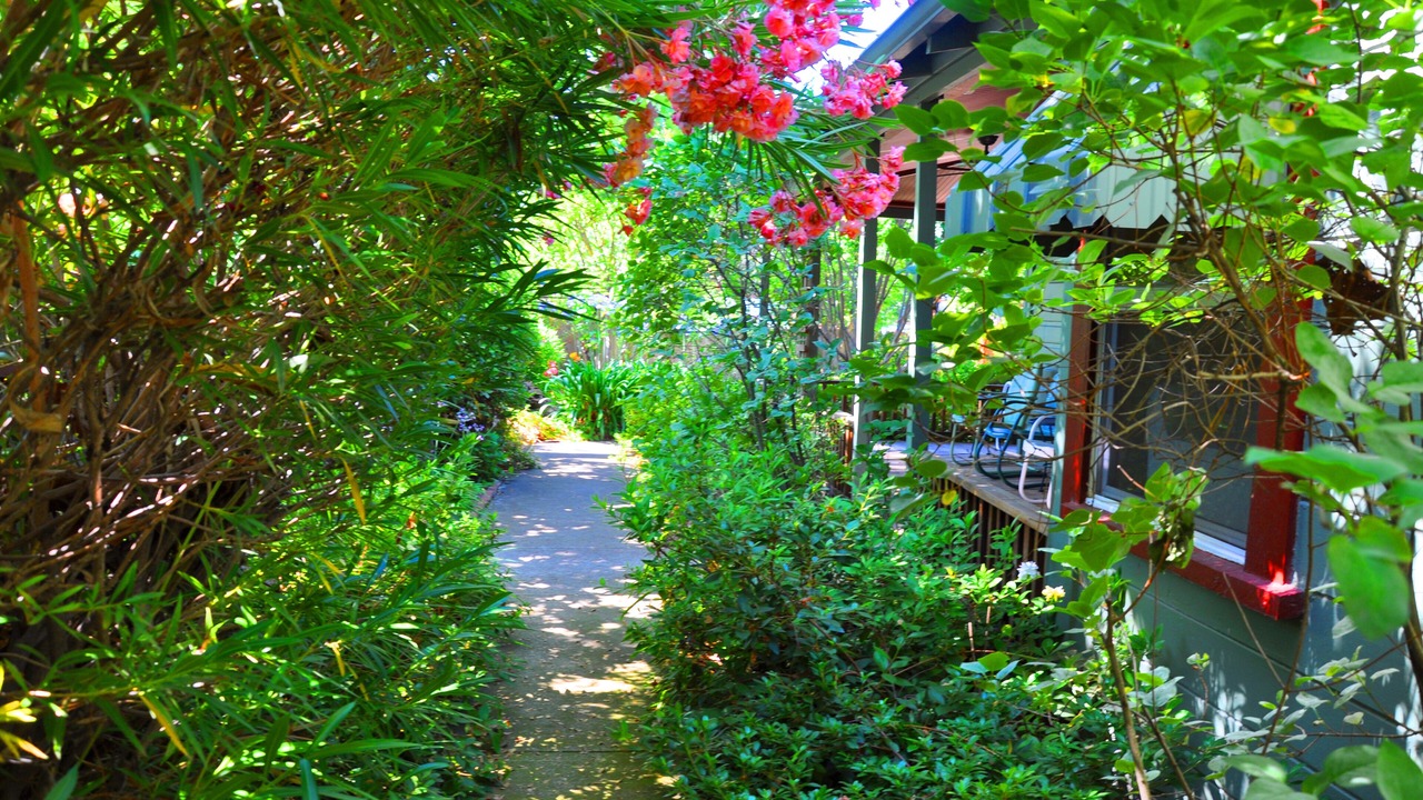 Photo of Outdoor in Plymouth
