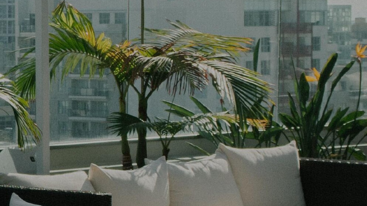 Photo of Outdoor in Mission Bay