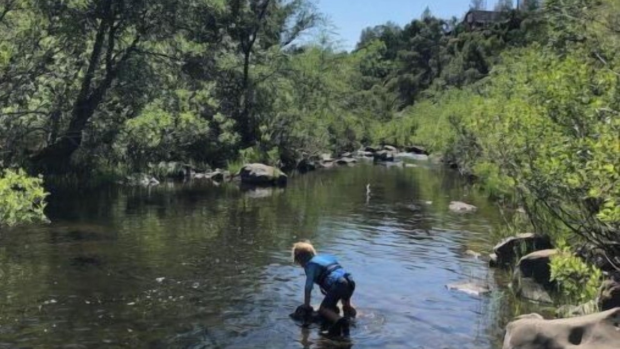 Photo of Outdoor in Shasta Cascade