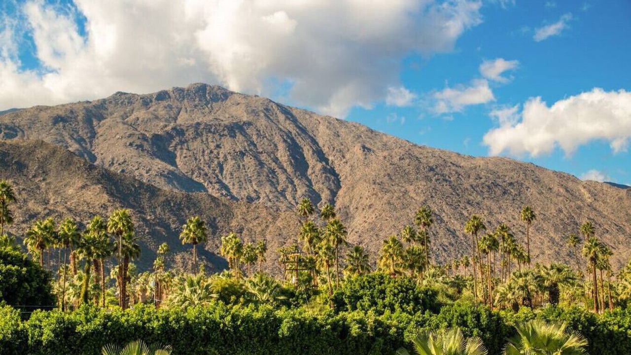 Photo of Others in Palm Springs