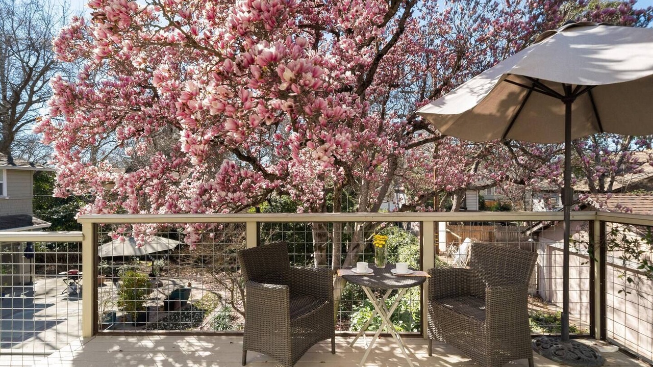 Photo of Outdoor in Chico