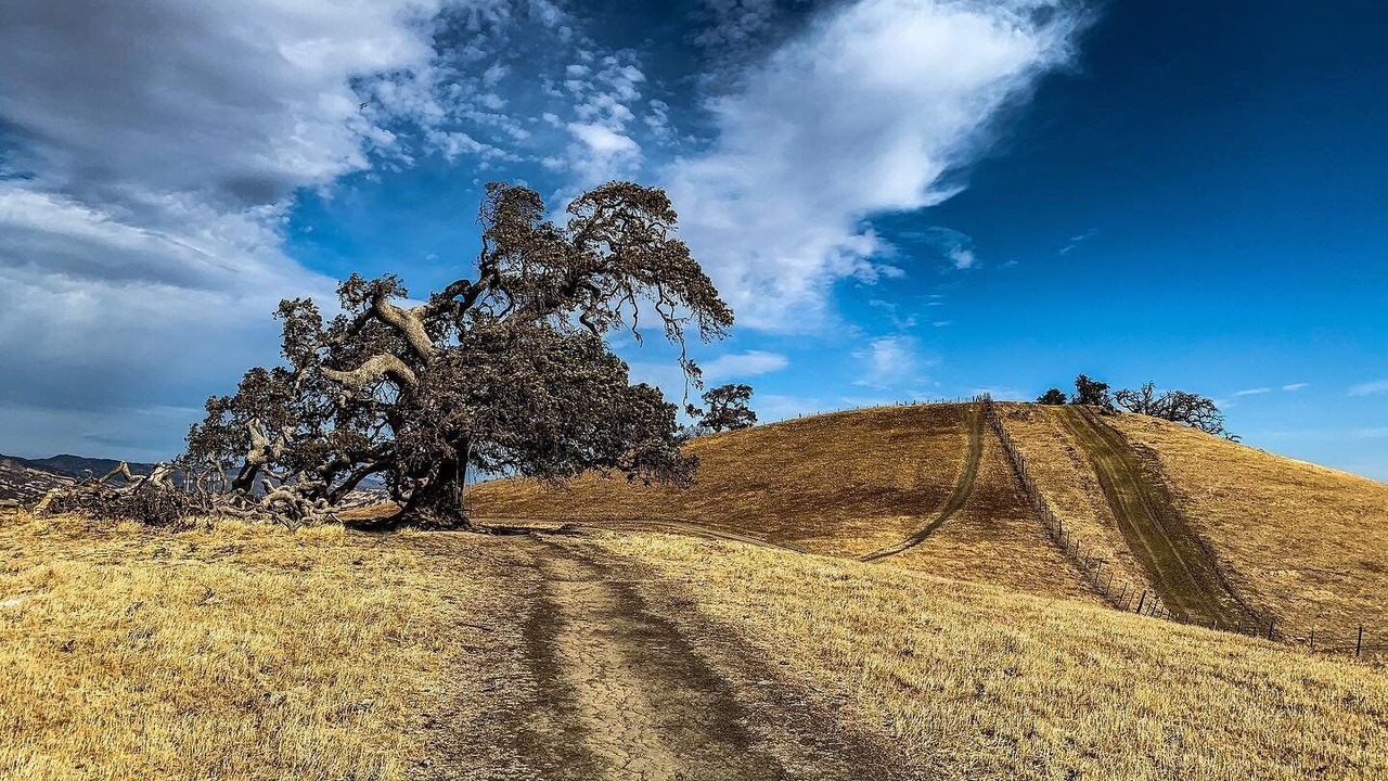 Photo of Others in Fairfield