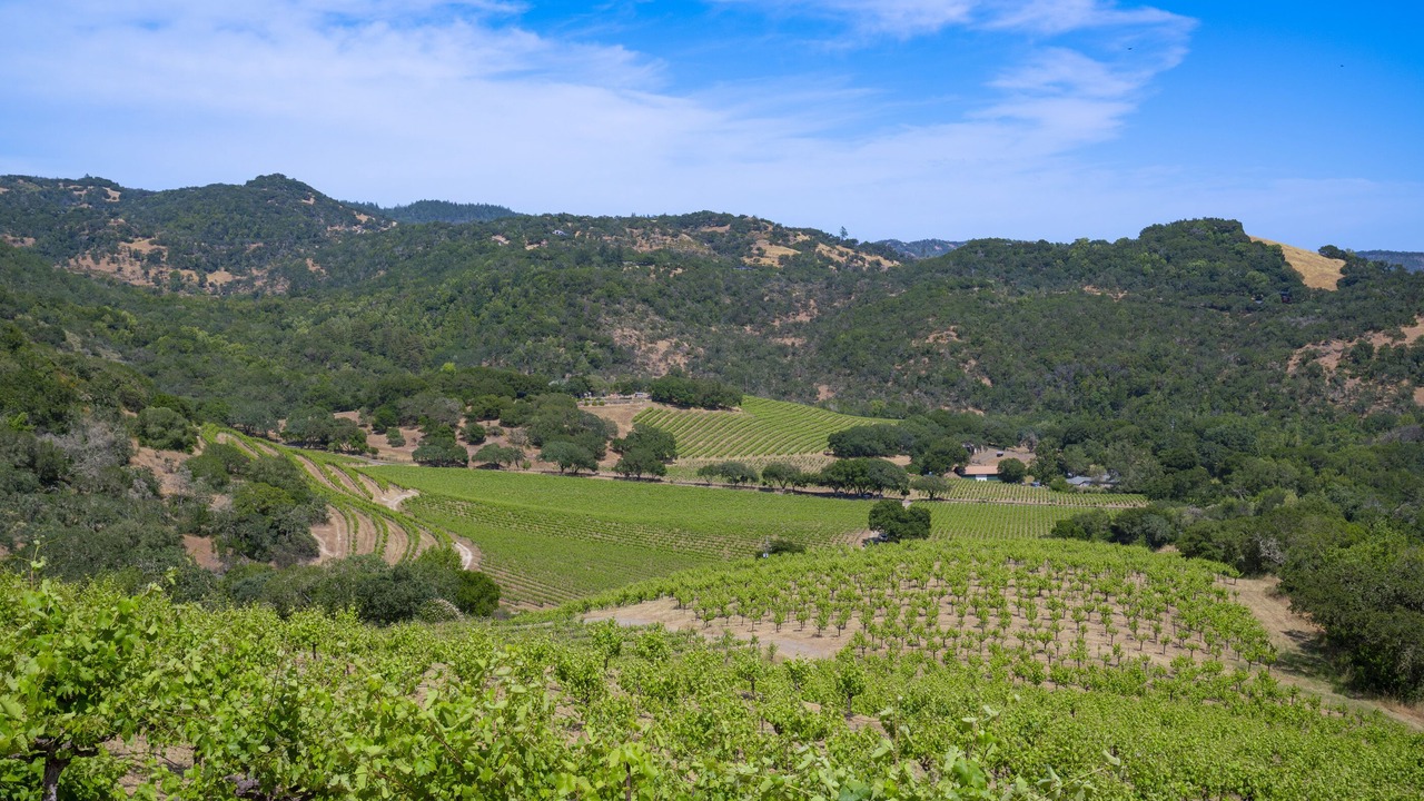 Photo of Others in Sonoma