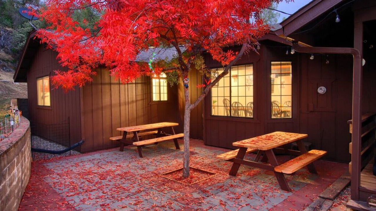Photo of Outdoor in Yosemite Forks
