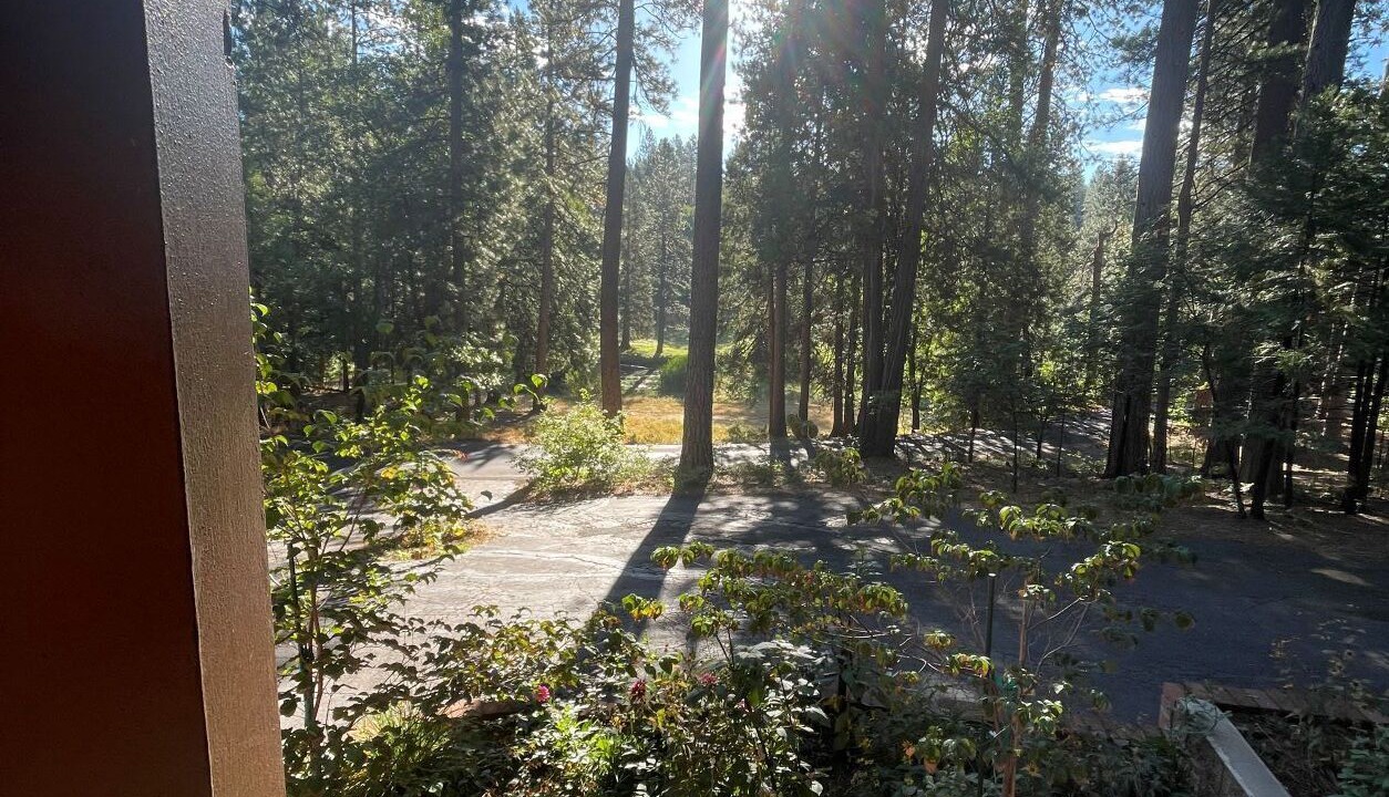 Photo of Outdoor in Glencoe