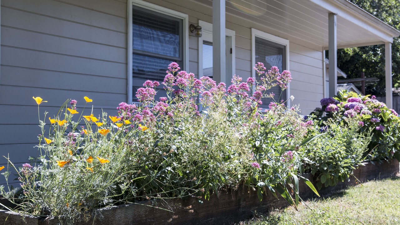 Photo of Outdoor in Santa Rosa