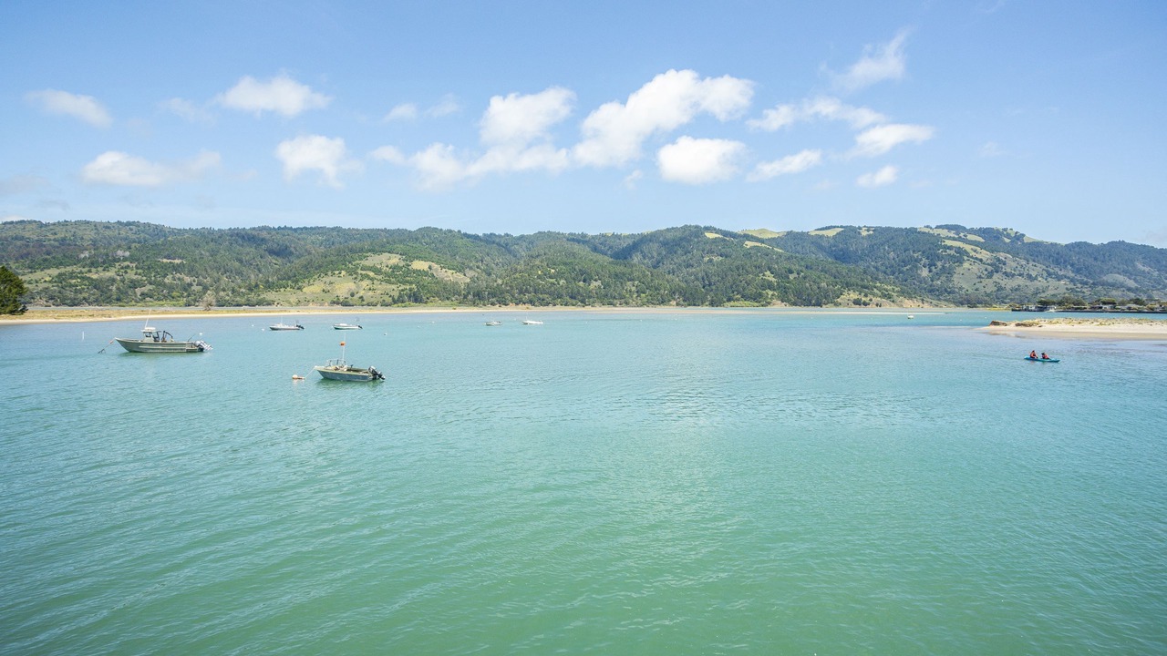 Photo of Others in Bolinas