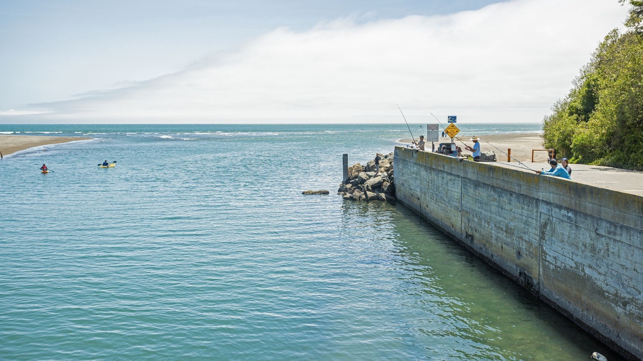 Photo of Others in Bolinas