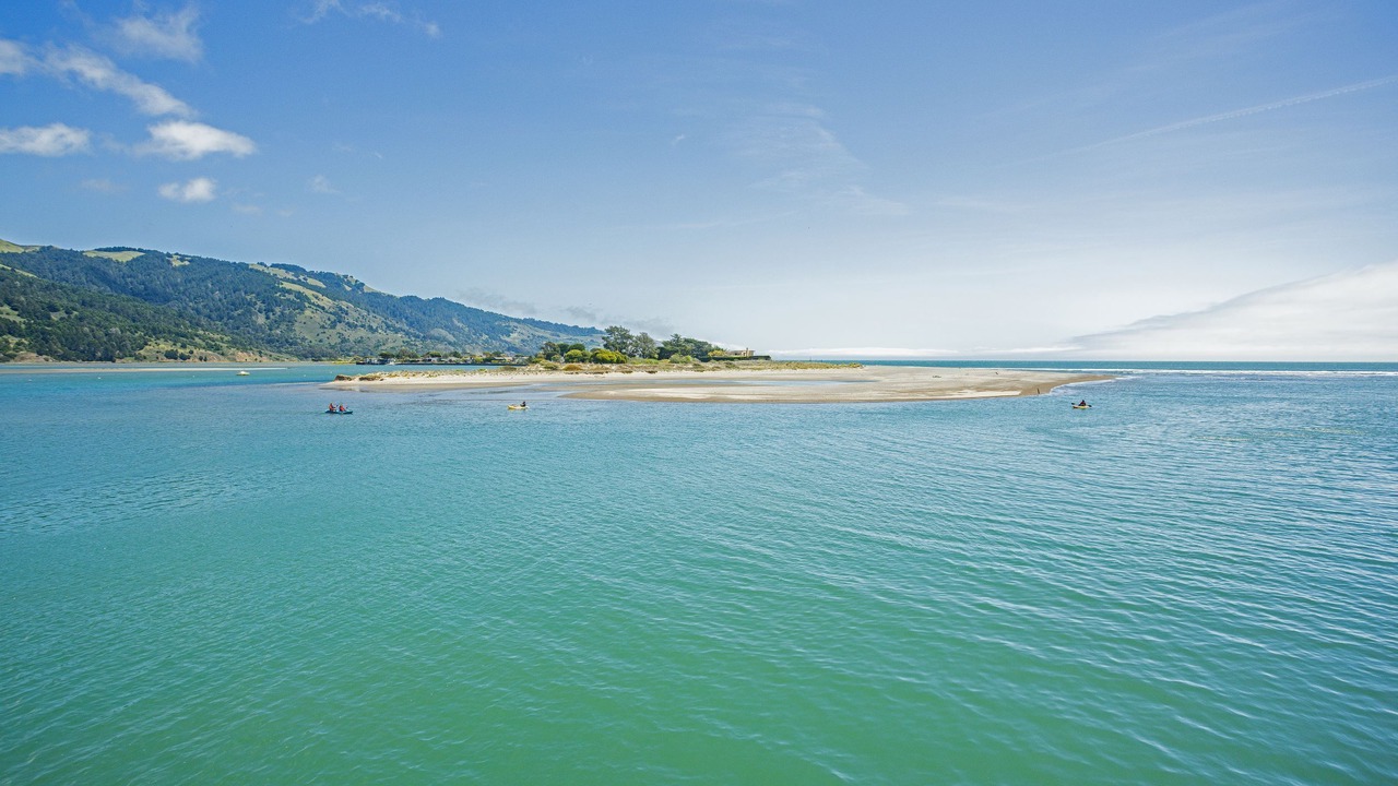 Photo of Others in Bolinas