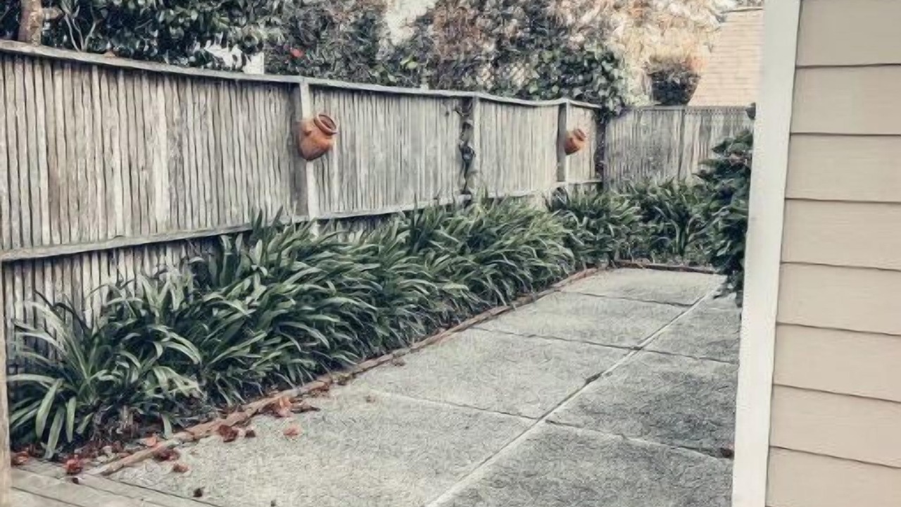 Photo of Outdoor in Seabright